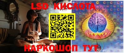 шишки Пенза