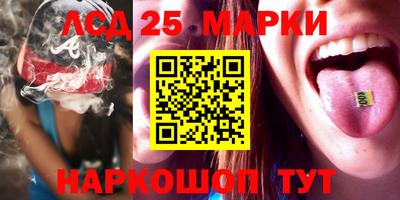 индика Партизанск