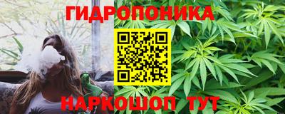 шишки Пенза