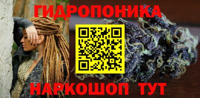 индика Партизанск