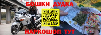 индика Партизанск