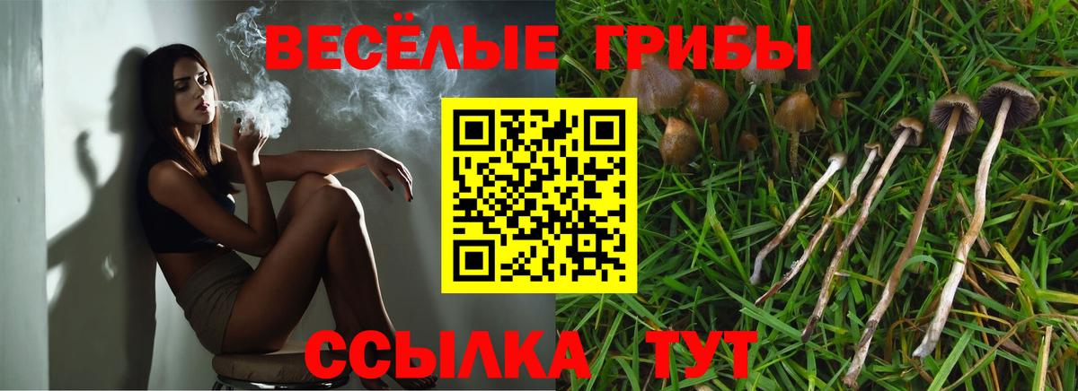 Северск  Псилоцибиновые грибы ЛСД  Вход с VPN 